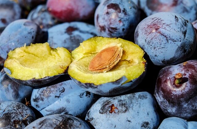 food waste in Korea