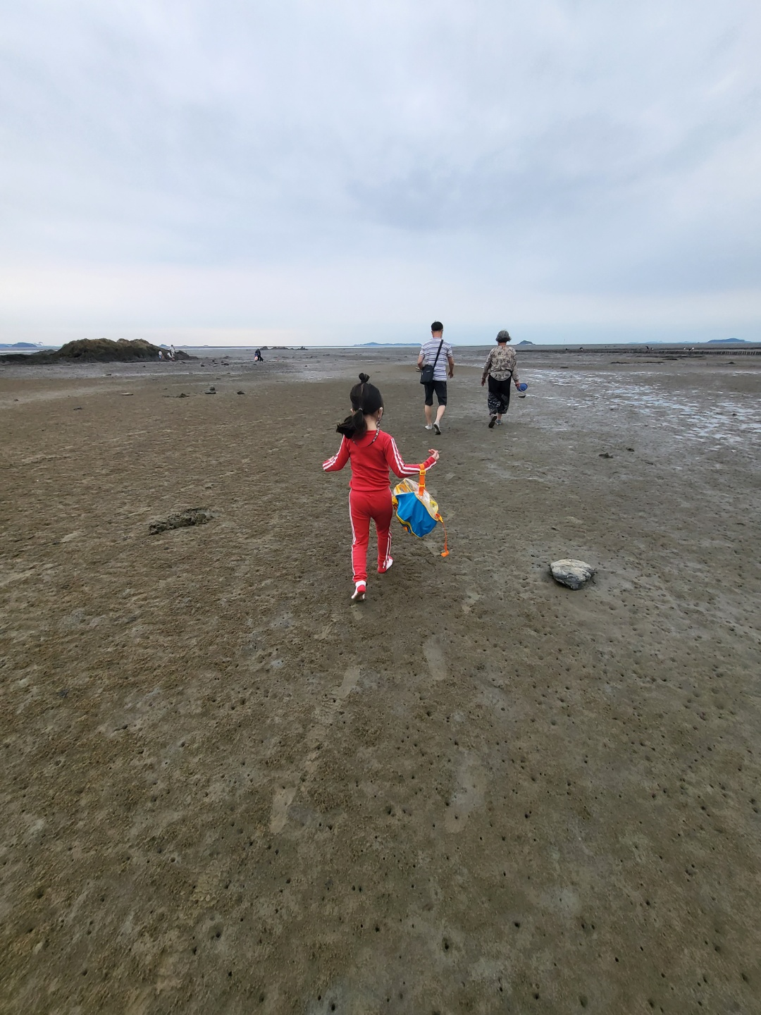 서천 갯벌체험&amp;#44; 모시조개 캐기 (서천송림갯벌체험장)