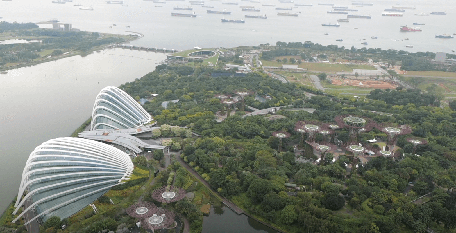 싱가포르 여행 날씨 입국신고서