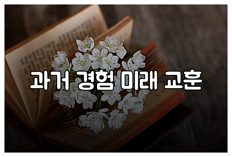 과거 경험 미래 교훈