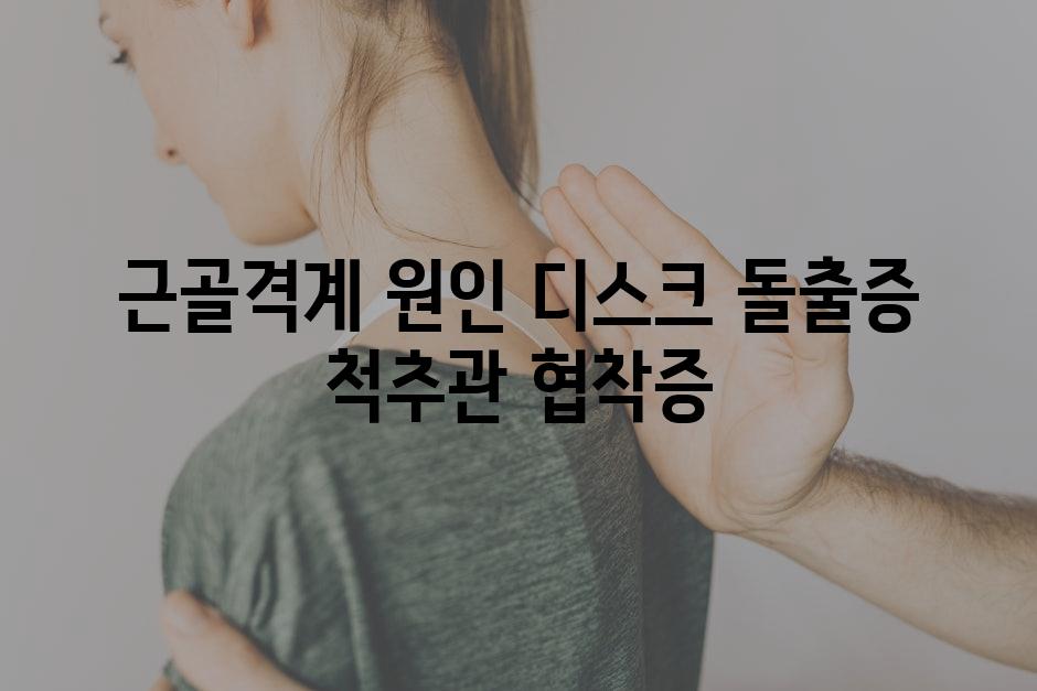 근골격계 원인 디스크 돌출증 척추관 협착증