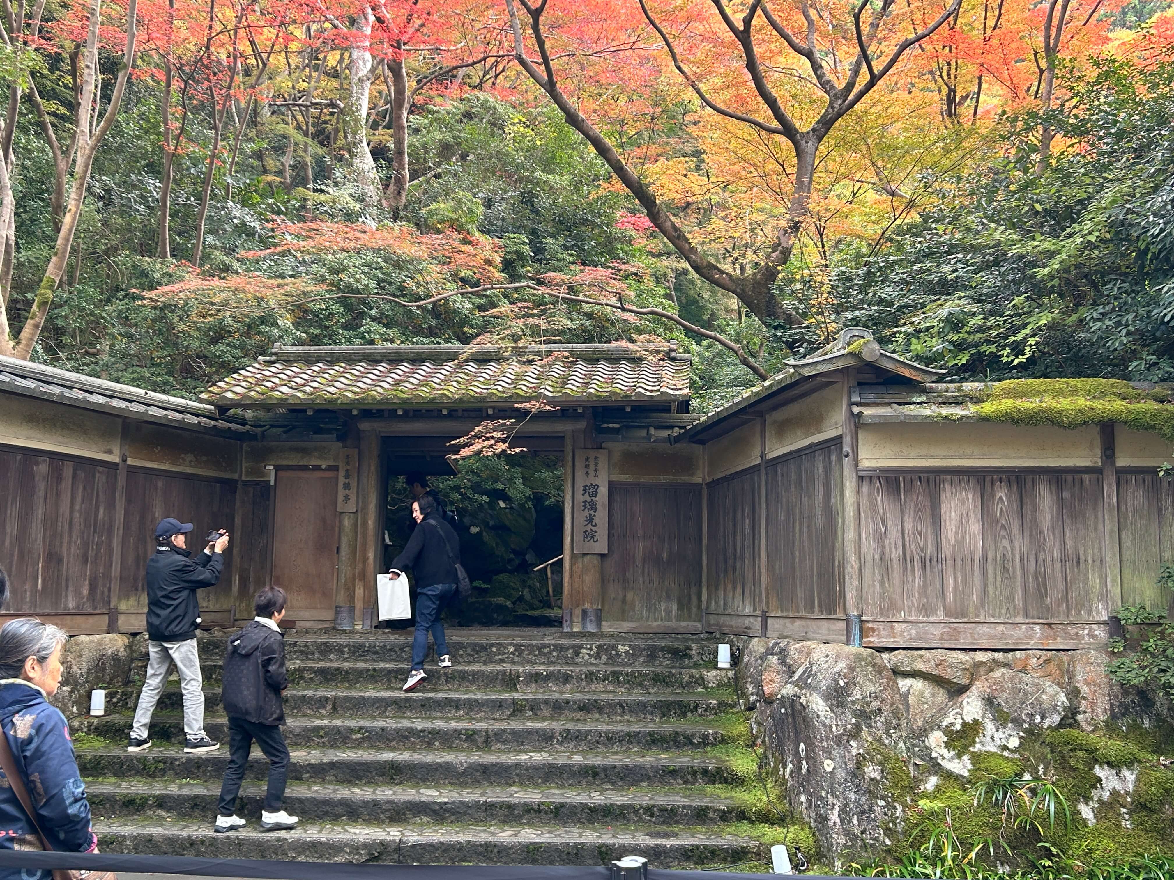 오사카 현지인도 간다! 교토 루리코인 가을단풍 명소 후기 관련사진
