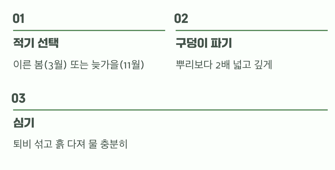 성공적인 첫걸음, 옮겨 심기