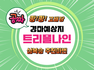 고배당 삼복승 추천마권 트리플나인 무료 경마예상지