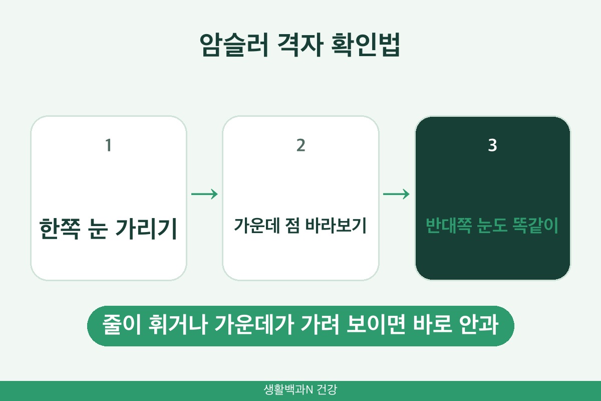 암슬러 격자 자가 검사 방법 한쪽 눈 가리고 가운데 점 보기