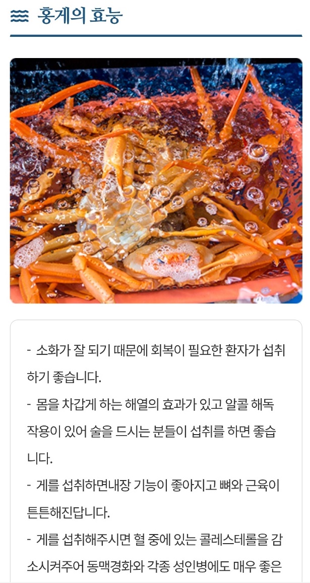 주문진-홍게-수진호-김수진