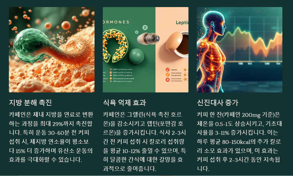 커피가 다이어트에 좋은 이유