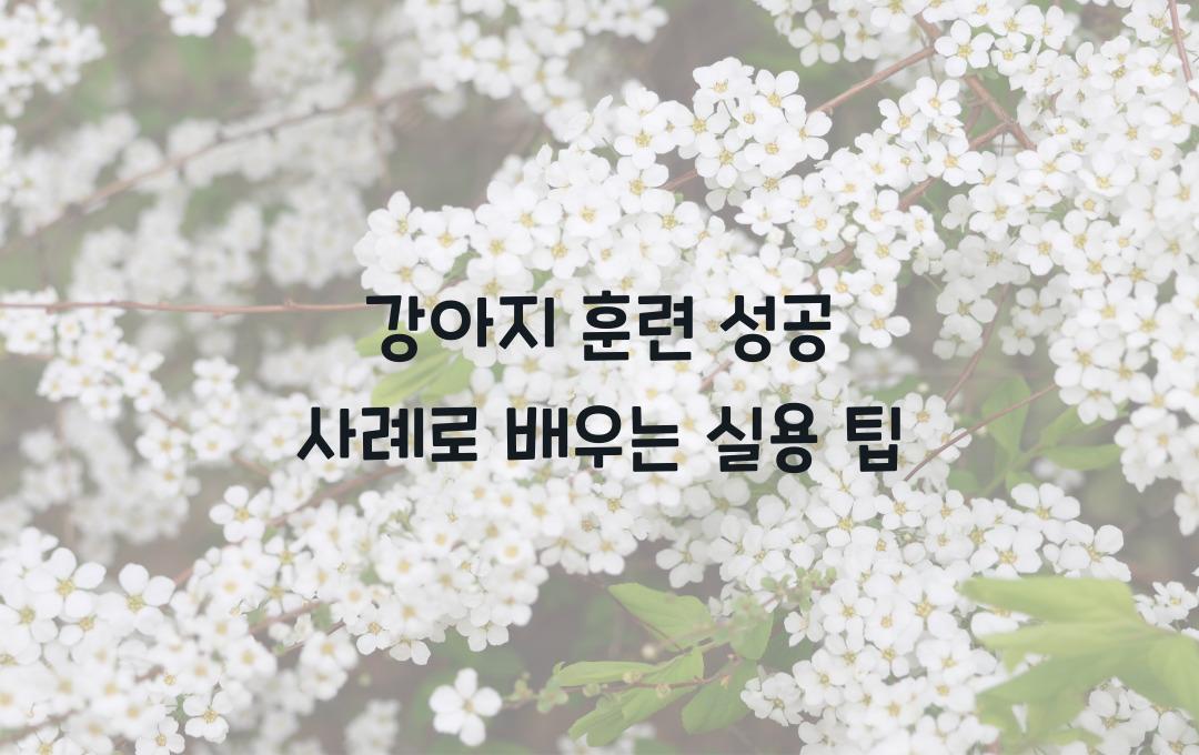강아지 훈련 성공 사례로 배우는 팁