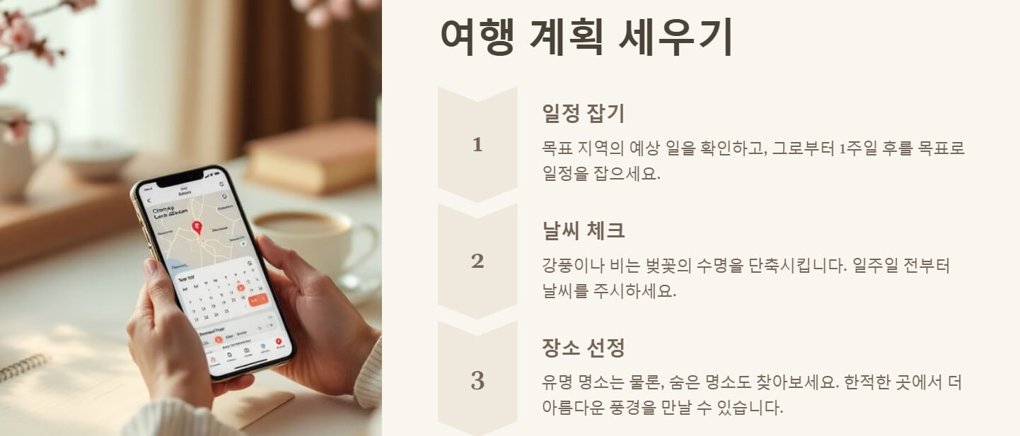 2025년 벚꽃 개화시기
