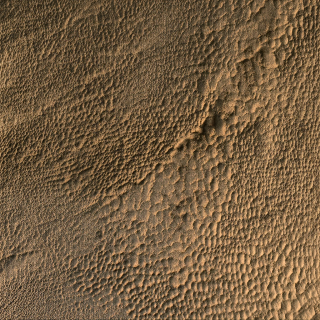 티라노사우루스는 깃털 공룡? 공룡 피