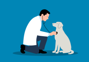 2025년 초복 중복 말복 날짜