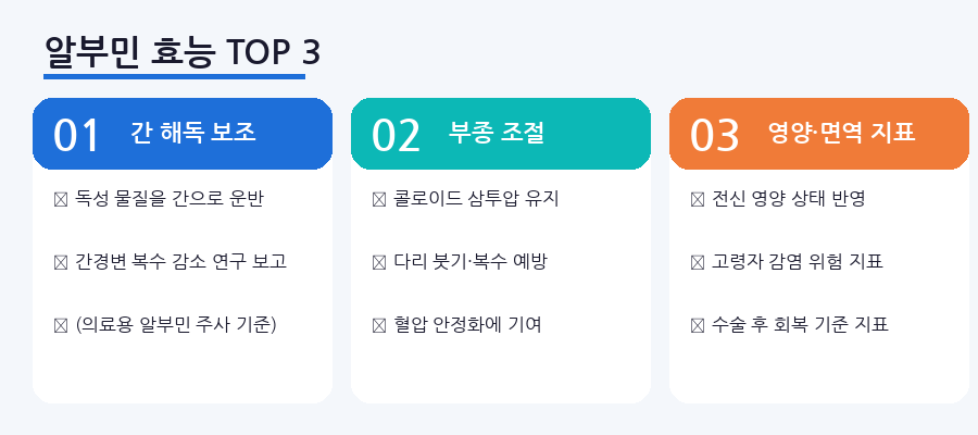 알부민-효능-top3