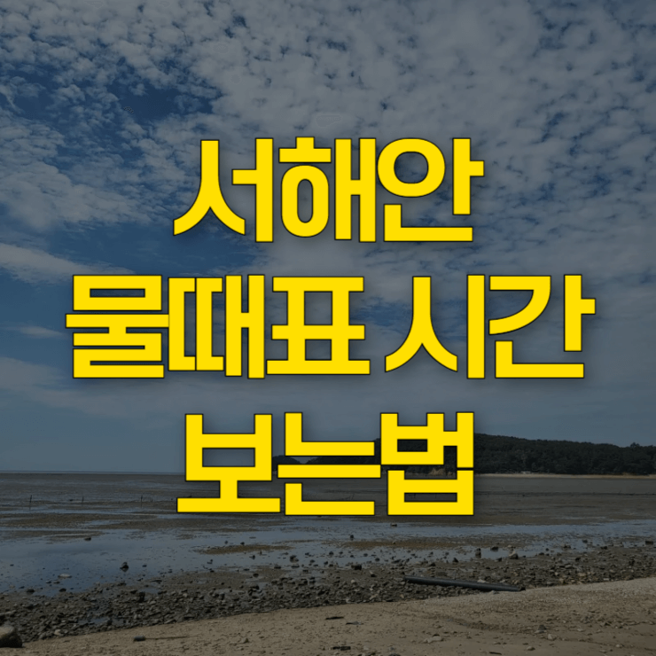 서해안-물때표-시간-보는법-대표-사진
