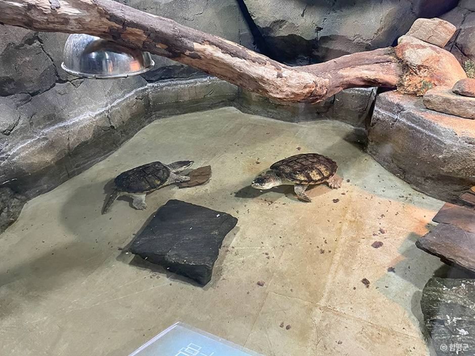 함평 가볼만한곳 베스트10