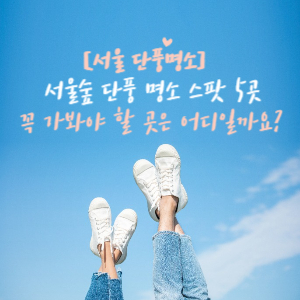 서울숲 단풍명소