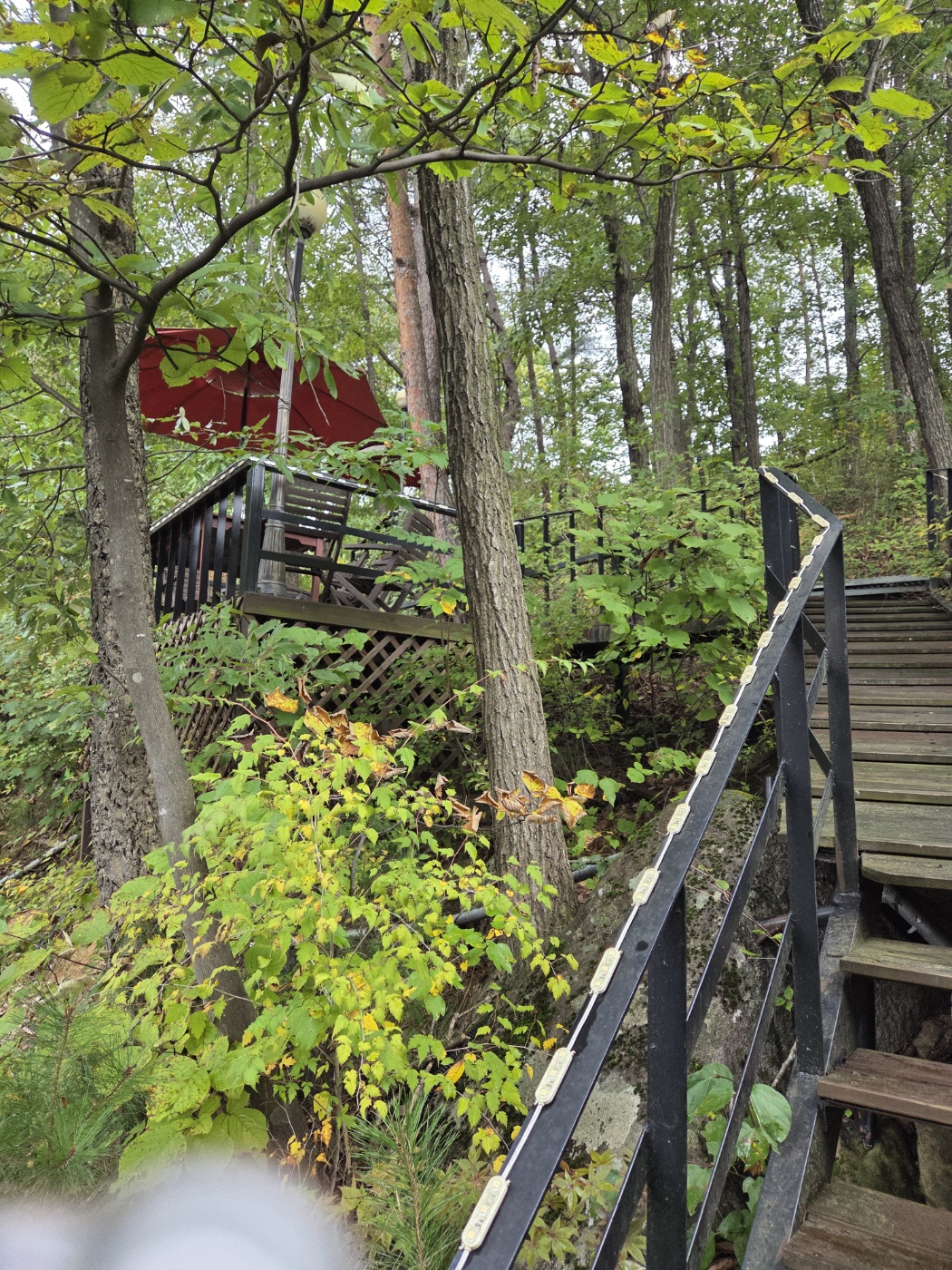 제천 화덕피자 맛집
