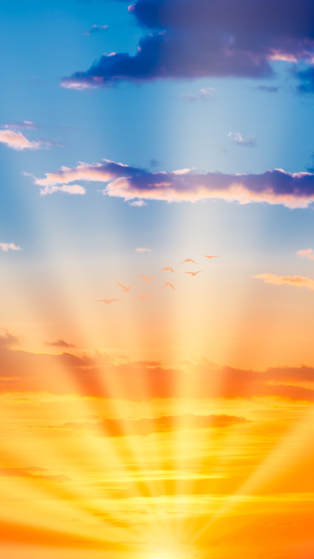 저녁노을 스마트폰 배경화면 이미지 사진