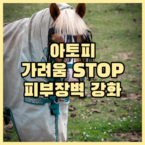 청소년 아토피, 멈추지 않는 가려움:..