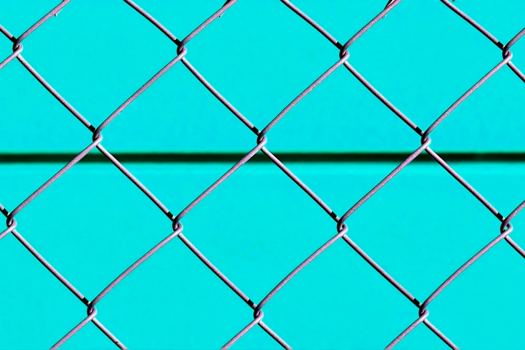 Net