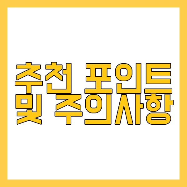추천 포인트 및 주의사항