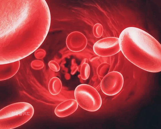 스타틴 계열 고지혈증약