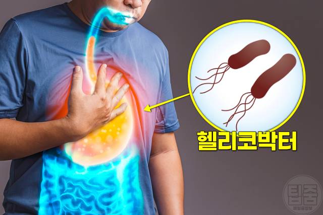 위에좋은음식 양배추 먹으면 안되는 사람 양배추먹는법 양배추 생으로 먹으면
