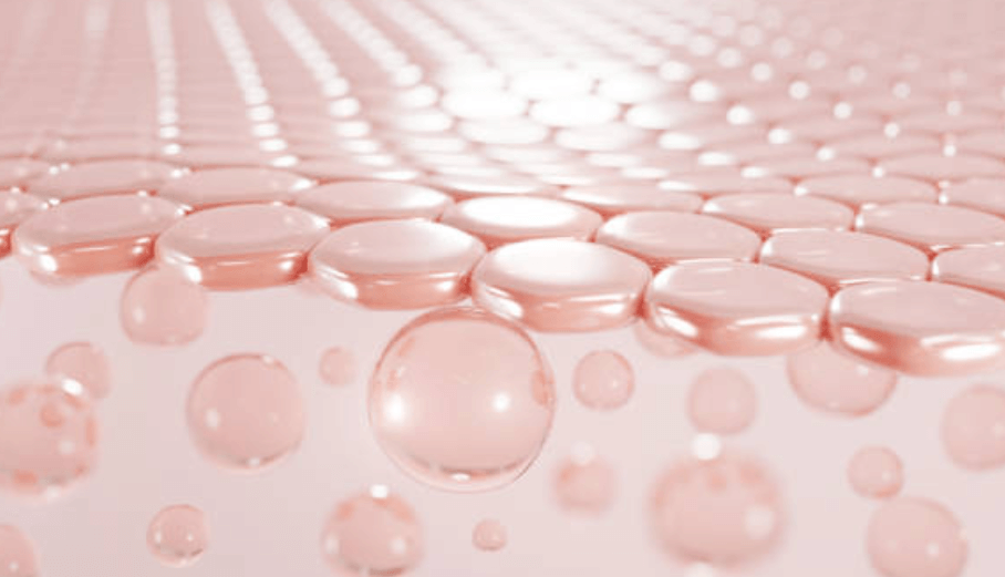 에버콜라겐 가격