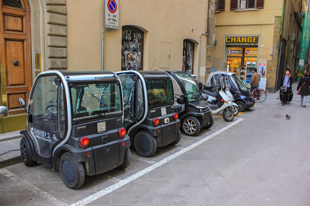 Used electric car rental.