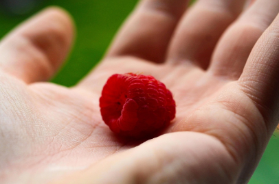 손 위에 놓인 빨간열매