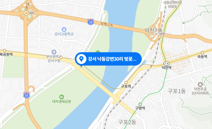 부산 강서구 벚꽃 축제