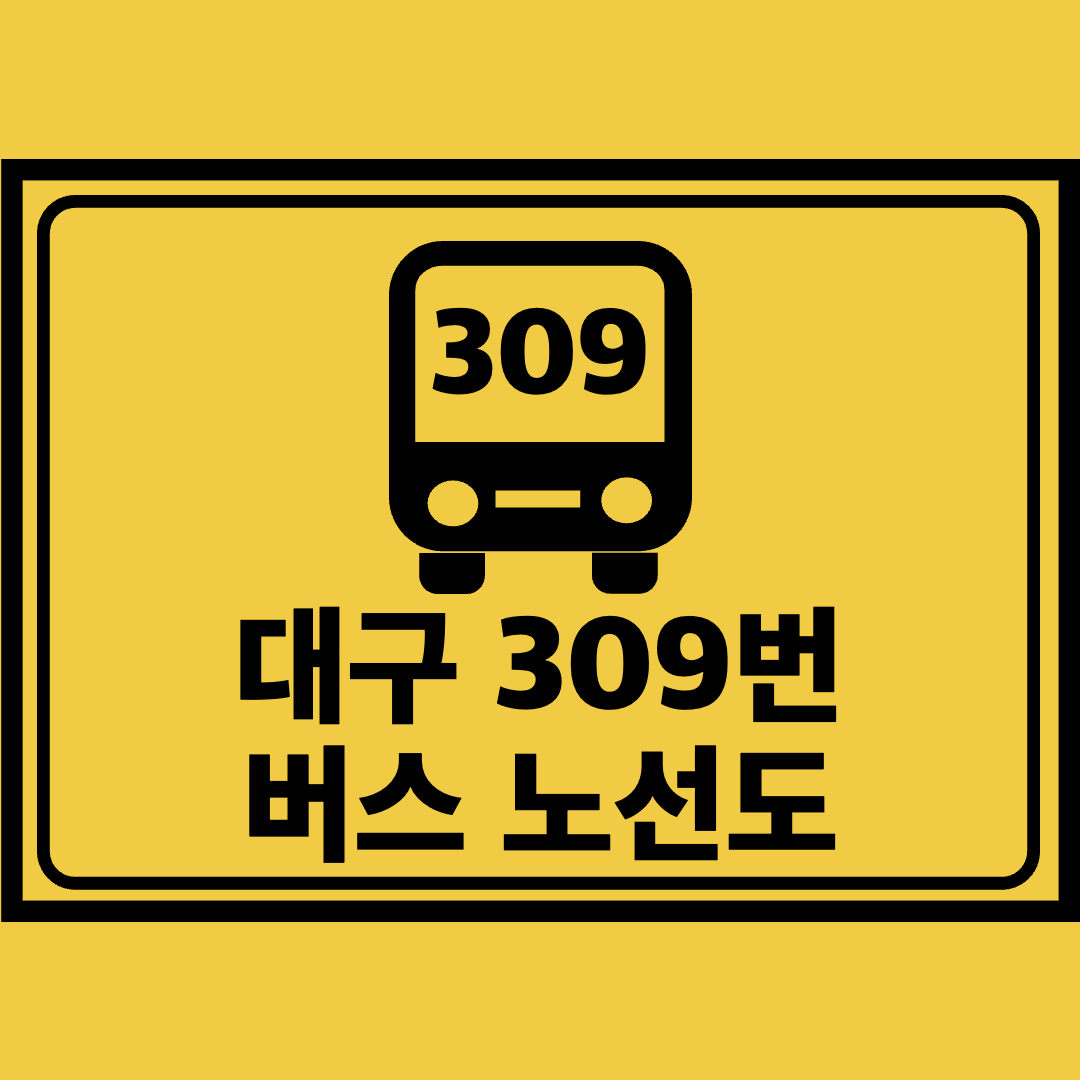 대구309번버스노선도