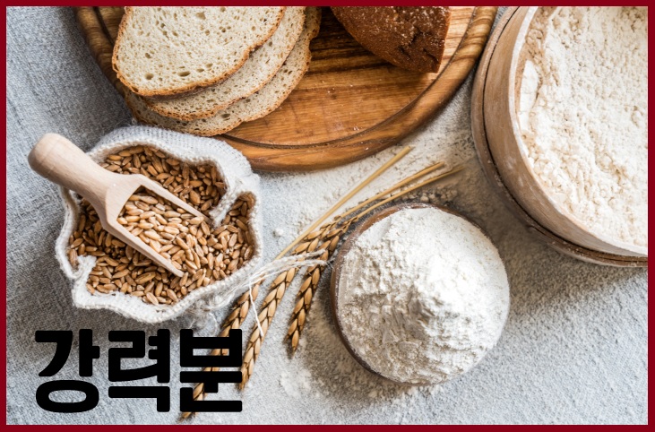 강력분