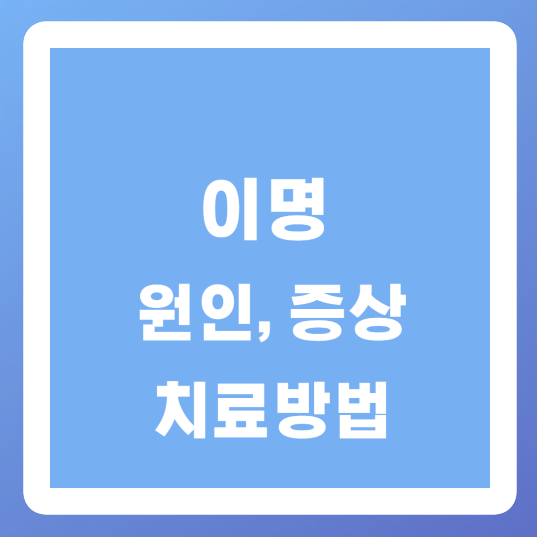 이명 원인