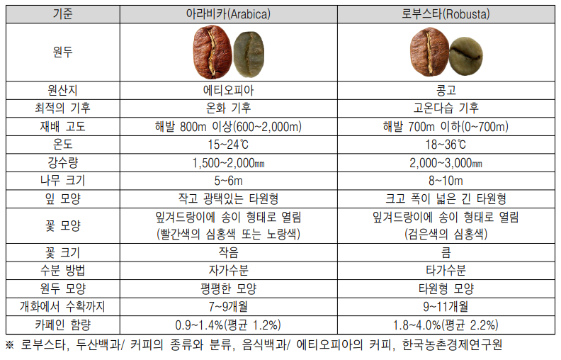 아라비카 로부스타 비교