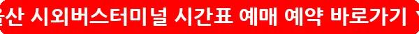 울산 시외버스터미널 시간표 예매 예약_22