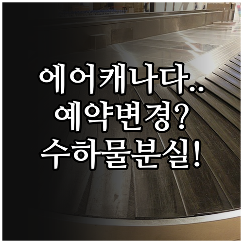 에어캐나다 예약 변경 수하물 분실 전..