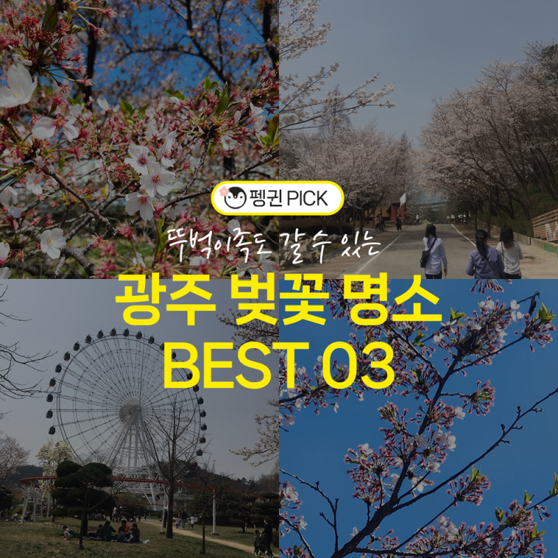 광주광역시 벚꽃 명소