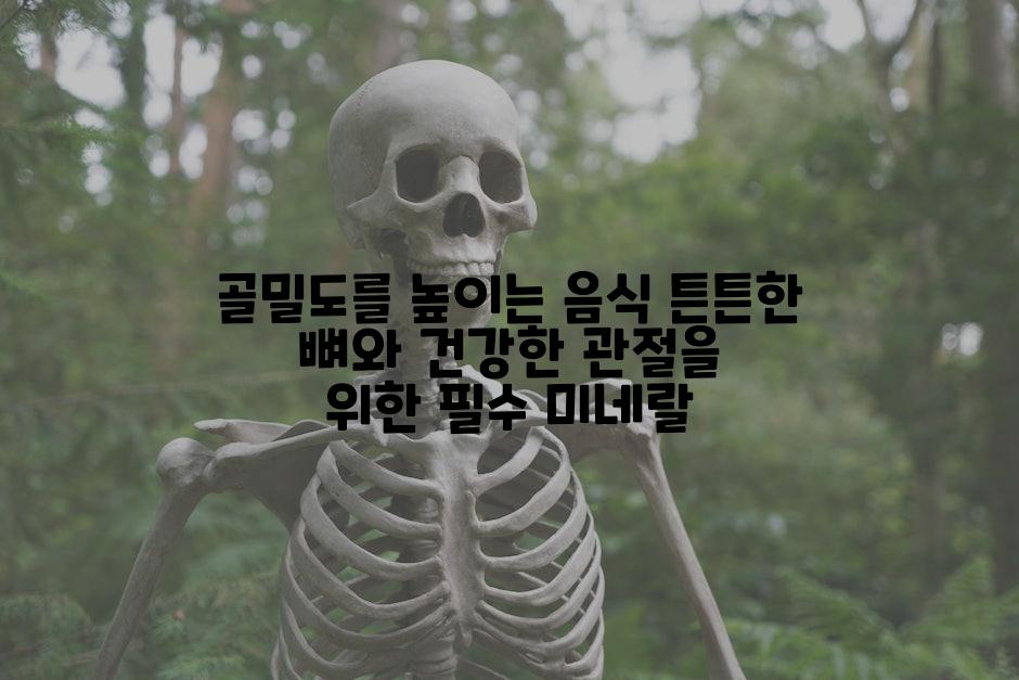 골밀도를 높이는 음식 튼튼한 뼈와 건강한 관절을 위한 필수 미네랄