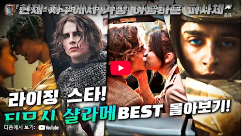 티모시 샬라메 필모그래피 영화 대표작