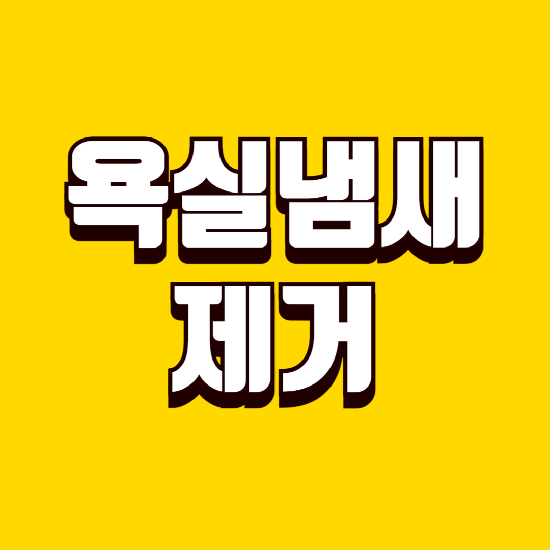 욕실 냄새 발생 원인과 제거 방법, 욕실 냄새 재발 막는 관리 방법