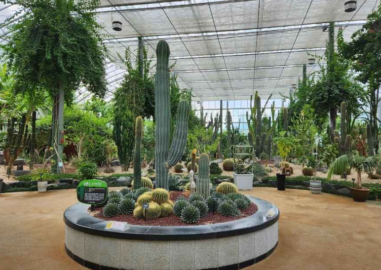 창원수목원 선인장온실