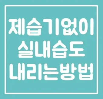 제습기 없이 습기 제거 끝 숯 염화칼슘 등 천연 제습제 활용법 완벽 가이드_19