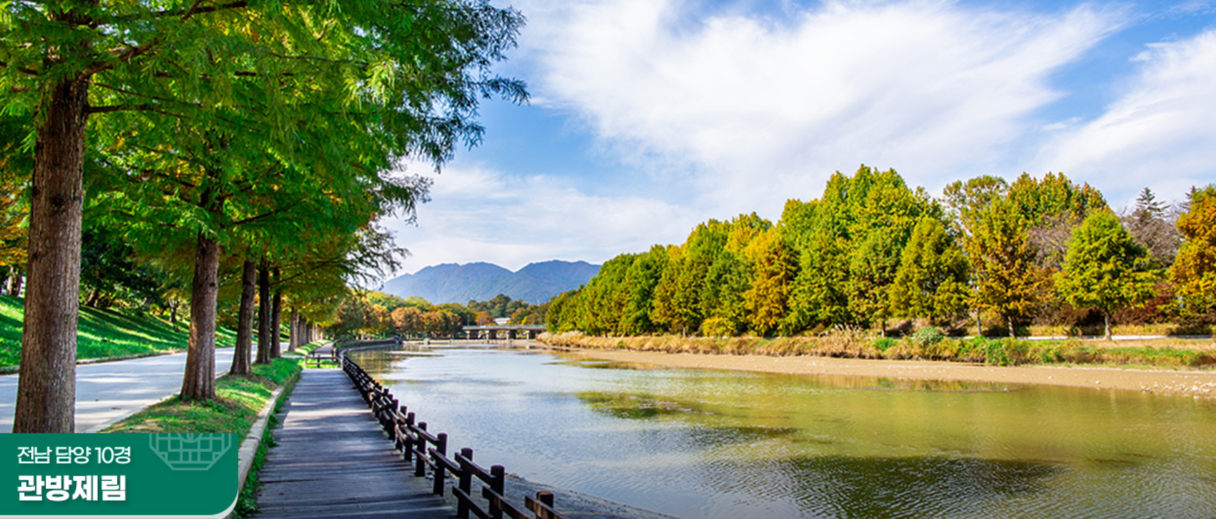 전남 담양 10경 관방제림 <담양군청제공>
관방제림