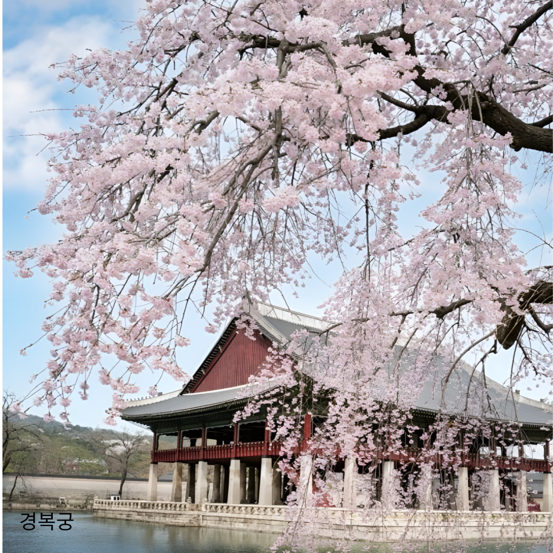 벚꽃명소
