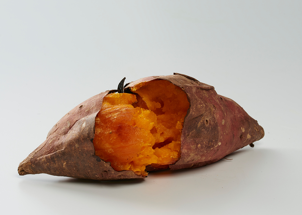 고구마-심는-시기