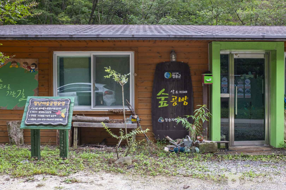 청송 가볼만한곳 베스트10