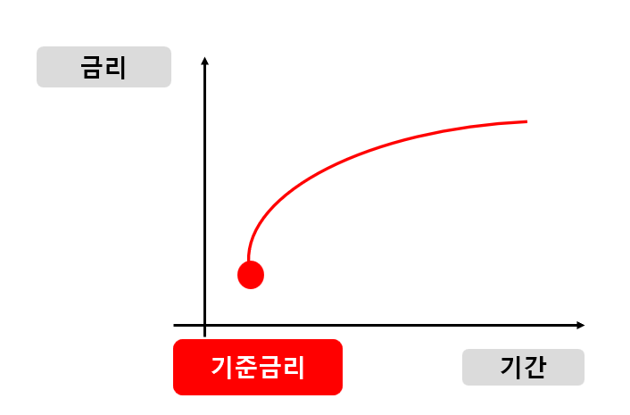 미국 금리인상