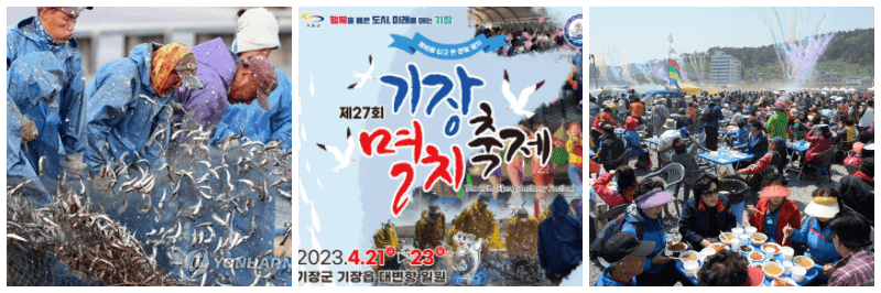 기장 멸치 축제 사진 3개
