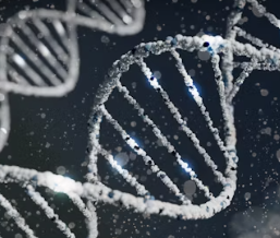 섬유근육통 초기증상 원인 치료법