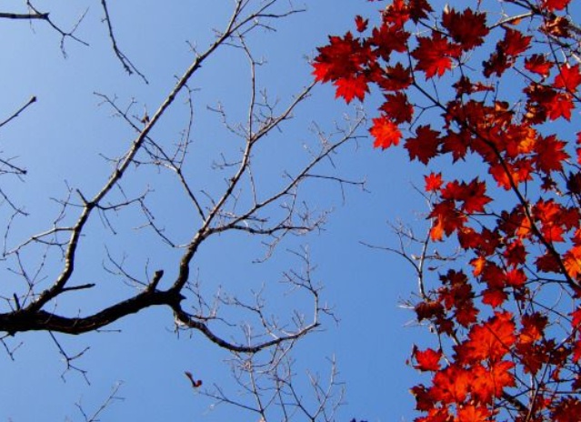 2025 경기도 단풍 명산 BEST ❘ 북한산&middot;남한산성&middot;광교산 등 추천 코스